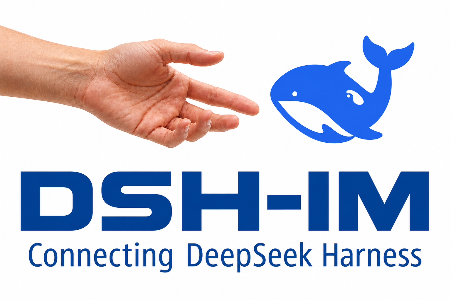 DSH-IM Logo